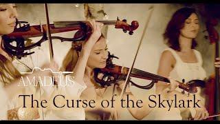 Ciocârlia (The Curse of the Skylark) - Amadeus Electric Quartet feat Maria Tănase
