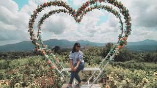 Mahoni Tomohon | wisata sulut minahasa