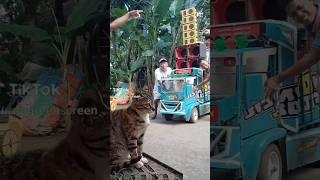 #trukgigasambocil #basuribussid #barongan #funny #jarumsuntikraksasa #laksonbasuriterbaru