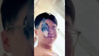 Funny parrot video cilp