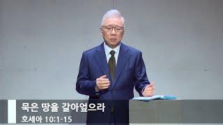 [주일예배] 묵은 땅을 갈아엎으라 (호 10:1-15)_베이직교회_조정민 목사_20241013