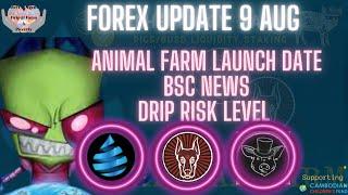 Drip Network Review BSC News & Animal Farm Launch Date