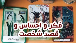 فکر و احساس و قصدش در مورد تو چیه️فال تاروت احساسی ️🪷لونا تاروت