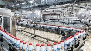 Fabrication du lait en poudre | Usine moderne de traitement du lait en poudre   Food Factory 