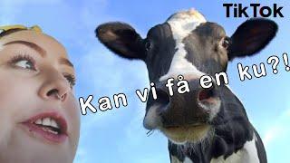 TikTok Nikoline - Can We Get a Cow as a Pet?! (Part 1-4)