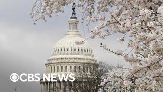 Senate awaits ruling on permanent Trump tax cuts