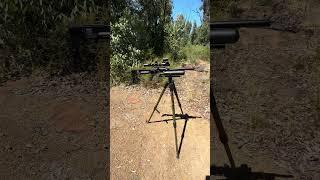 Fx impact m3 #airrifleshooting #fxairguns