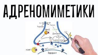 Адренергические агонисты. Фармакология простым языком.