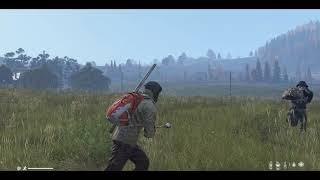 Lining up the perfect teamkill - DayZ Short