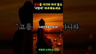 지금 흔들린다면 그 감정을 ‘이리’ 바라보세요｜부처님 말씀으로 배우는 흔들리는 마음의 수행 #부처님말씀 #명언 #자기수행