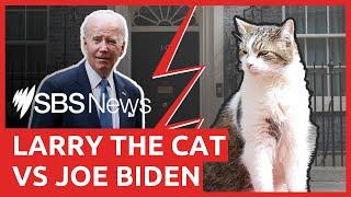 No. 10 official booed after removing Larry the Cat to make way for Joe Biden | SBS News