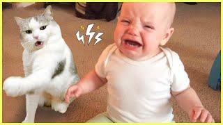 Funniest Baby And Cat Are Best Friends || 5-Minute Fails