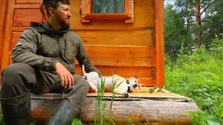 I live in a LOG CABIN with my BUSHCRAFT DOG! Camping with red beast! The history of a forest dog