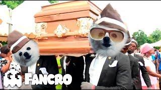 Canción meme del Ataud - (Astronomia) - Cover Gabe the Dog