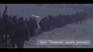 Шейх Яхья | Дага догlу суна. 5. дакъа