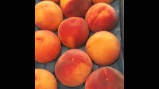 #تجارت_#صادرات _#میوه _#جهان _ #بین المللی. تمام محصولات طبیعی صادراتی درجه 1ترکیه
