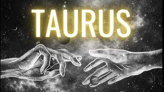 TAURUS I MISS YOU, I LOVE U, TAKE ME BACK!" FROM NO CONTACT...TO A NEW BEGINNING! LOVE TAROT