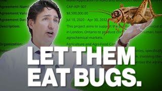 Trudeau to Canadians: Eat bugs