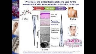 Skin Tone Modulation  In Vitro Pre clinical and Clinical Efficacy Testing Strategies and Innovative