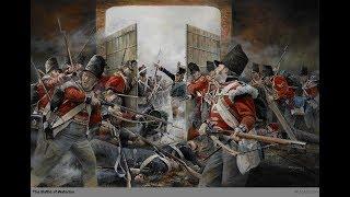 Dutchman - Napoleon Total War Online Battle - NTW games