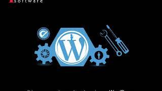 Hire Wordpress Developers