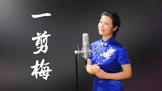 抖音tiktok《一剪梅 》yi  jian  mei【雪花飄飄、北風蕭蕭】陳敏中音