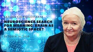 Tatiana Chernigovskaya. «Neuroscience Search for Meaning: Brain as a semiotic space?»