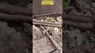 Сброс металла на краю поля #shots #st944 #коп #металлокоп #железо #металлоискатель