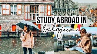 Study Abroad in Belgium Erasmus Semester in Brussels (Application Process, Costs & more) ️