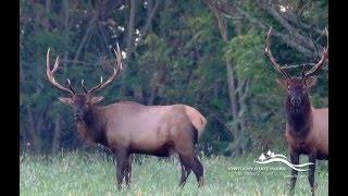 Kentucky State Parks Elk Tours