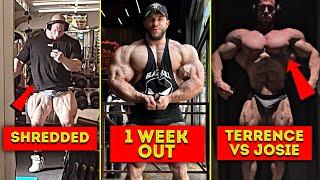 (हिन्दी) GOODVITO WILL BE UNSTOPPABLE IN BRAZIL | KRIZO AT HIS BEST | CAN JOSE BEAT TERRENCE & MIKE
