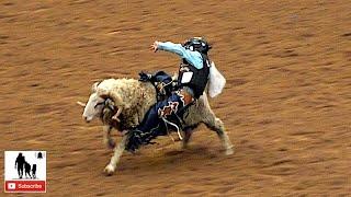 Mutton Bustin' - 2019 Junior Bull Riding National Finals #NJBRA - Round 2