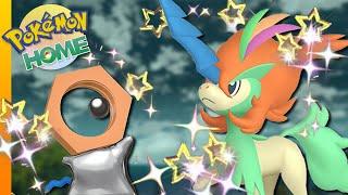Holt euch Shiny Keldeo & Meltan | HOME Verteilung