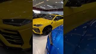 Choose your Lamborghini Urus