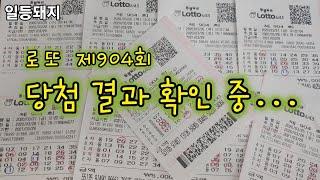 로또 제904회 당첨결과 확인 중 (일등돼지)