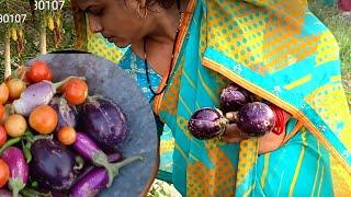 खेत से ताजे बैगन लाकर हमने बनाये आलू बैंगन की चटपटी सब्जी | Aloo Baingan Ki Sabji |