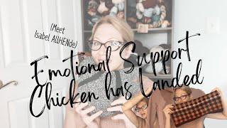 My Emotional Support Chicken Has a First Name ... | Hilo & Stitch #knittingpodcast