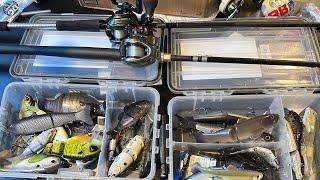 2024 Big Swimbait Collection And Setups