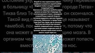 В Израиле умер мужчина от амебы «поедающей мозг» #трагедия #амёба #заражение