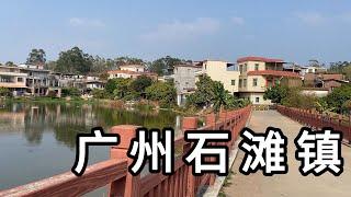 探访广东省广州市石滩镇岗尾村 有些宅基地废弃了很可惜Explore Village in Shitan Town GuangZhou City China