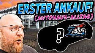Der AUTOHANDEL beginnt! - Erster Elektro Ankauf - Wie läuft der AUTOHAUS Alltag ab?