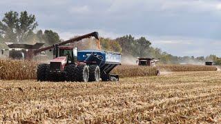 672,000 LBS of CORN PER HOUR. Shelling some high bushel corn with three class 9 combines.