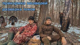 Пристрелка TR 650 перед весенней охотой, кормим медведей, проверяем старые места обитания глухарей