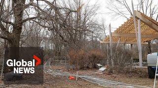 Ontario ice storm: Hydro One restores power to 96% of its customers, but thousands remain without
