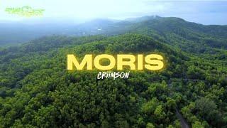 T REX - Criimson, MORIS (REMIX)