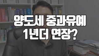 양도세 중과 유예 1년 더 연장? 다주택자 주목!