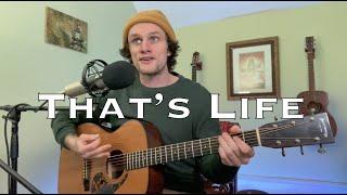 That's Life - Frank Sinatra (acoustic cover)