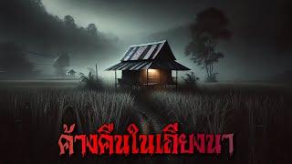 ค้างคืนในเถียงนา