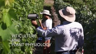 INNOVINE&WINE Vine and Wine Innovation Platform | UTAD