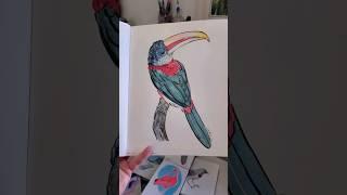 Birbfest Update #Birbfest2024 #Birbfest #BirdArt #Sketchbooks #Birds #Art #artist